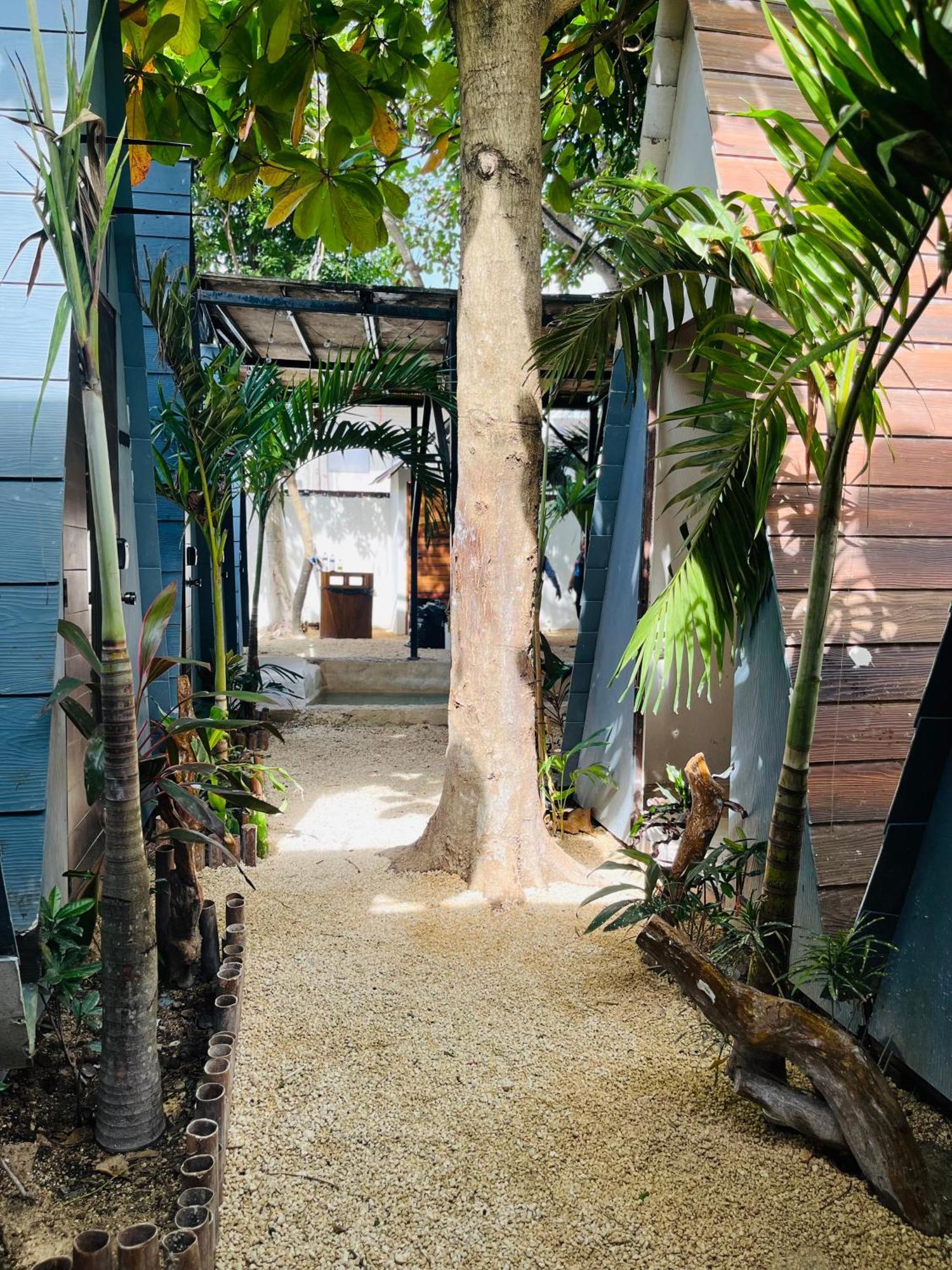 Kaibil Balam Apart otel Tulum Dış mekan fotoğraf